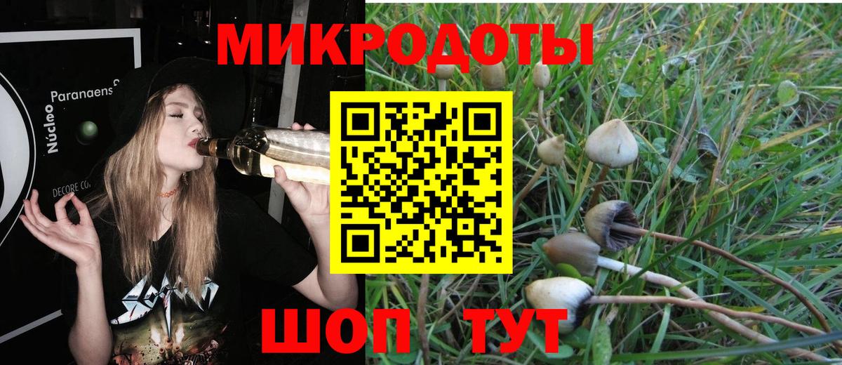 Псилоцибиновые грибы GOLDEN TEACHER  Вход с VPN  Брянск 